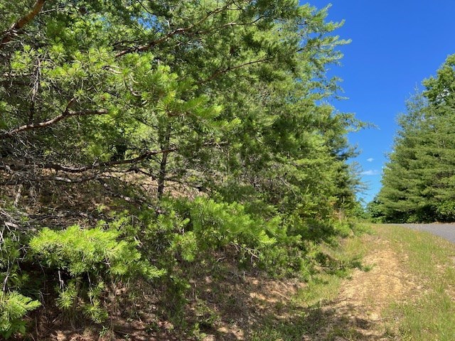 Lot 12 Shelton Springs Property Photo 21