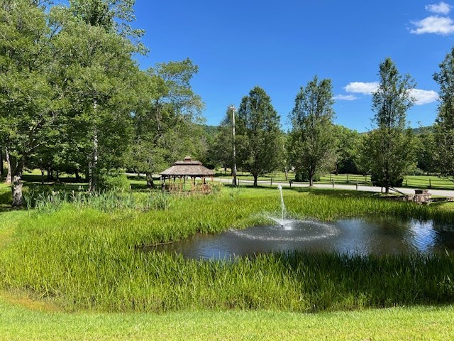Lot 12 Shelton Springs Property Photo 22