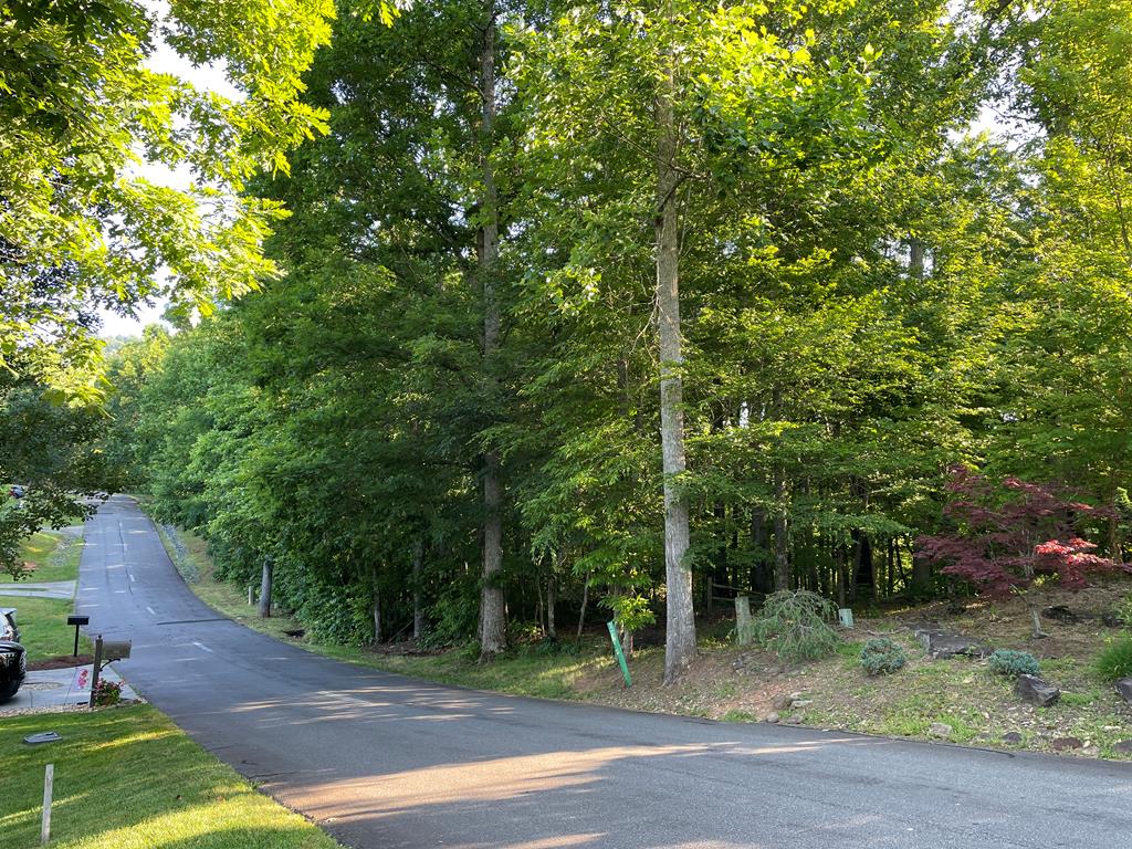 81A-82A Licklog Ridge Property Photo 1