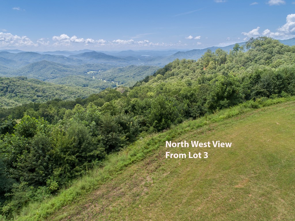 Lot 3 Hickory Ridge Property Photo 12