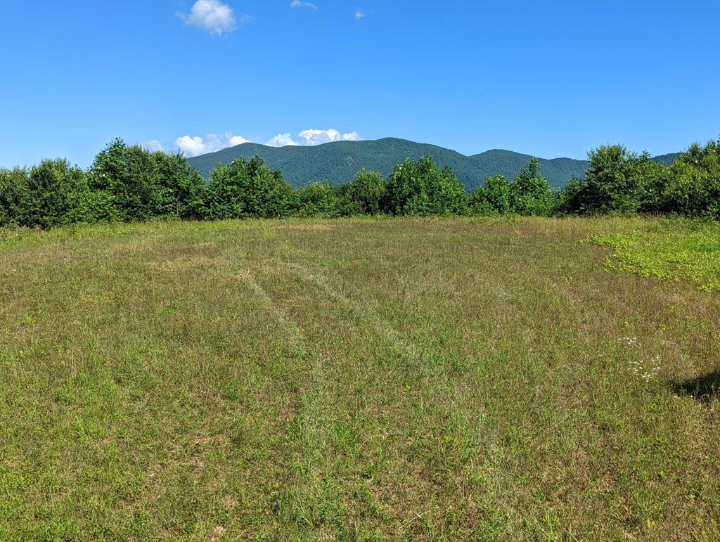 Lot 3 Hickory Ridge Property Photo 15