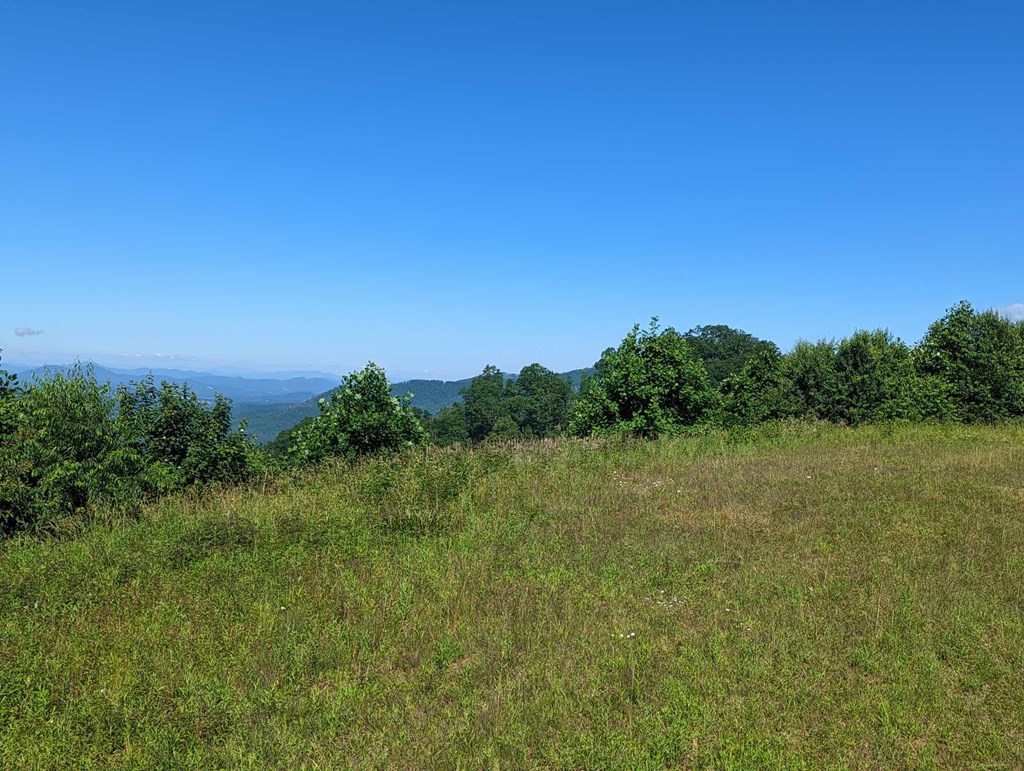 Lot 3 Hickory Ridge Property Photo 16