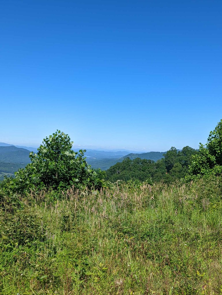 Lot 3 Hickory Ridge Property Photo 17