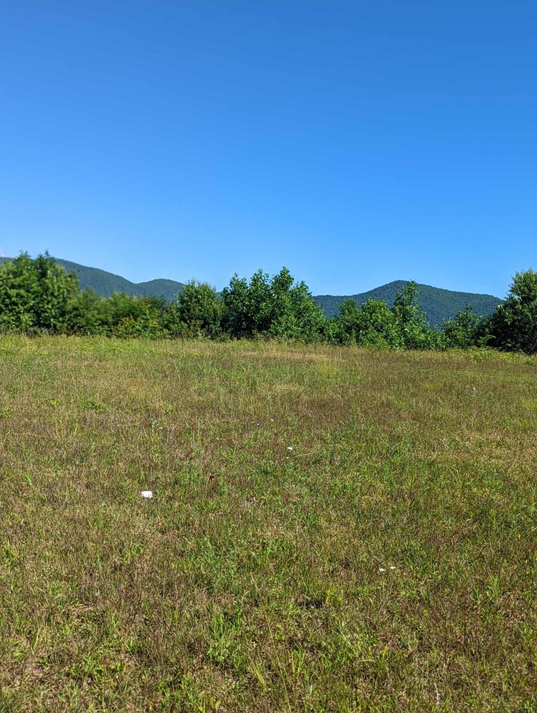 Lot 3 Hickory Ridge Property Photo 18