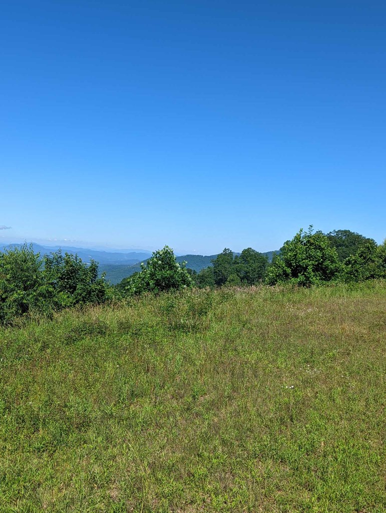 Lot 3 Hickory Ridge Property Photo 21