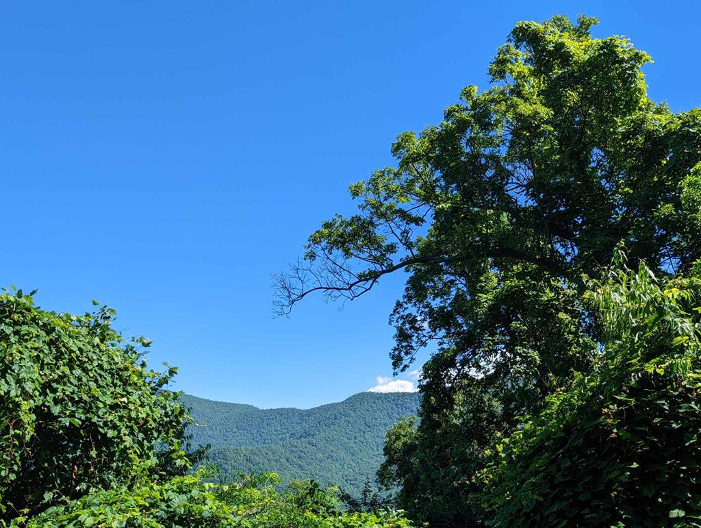 Lot 5 Hickory Ridge Property Photo 1