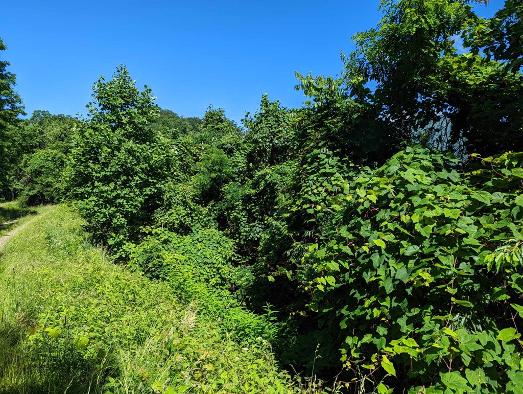 Lot 5 Hickory Ridge Property Photo 3