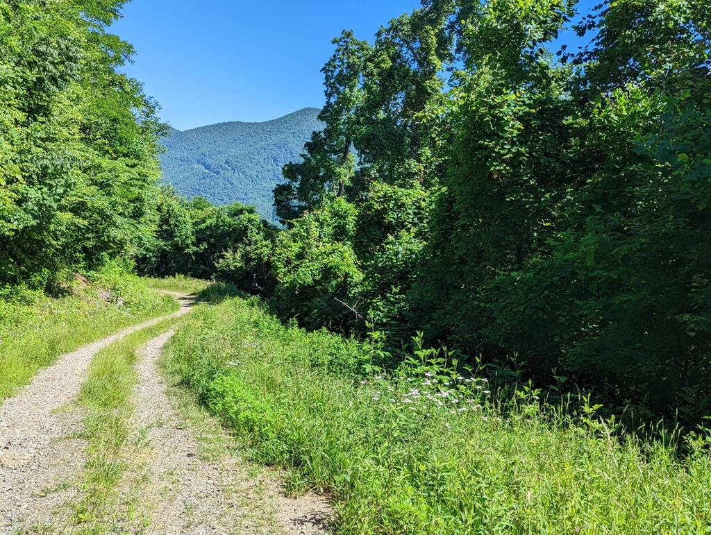 Lot 6 Hickory Ridge Property Photo 1