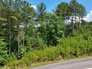 Lot 288 Ridge Pointe Way Property Photo 6