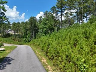 Lot 288 Ridge Pointe Way Property Photo 7