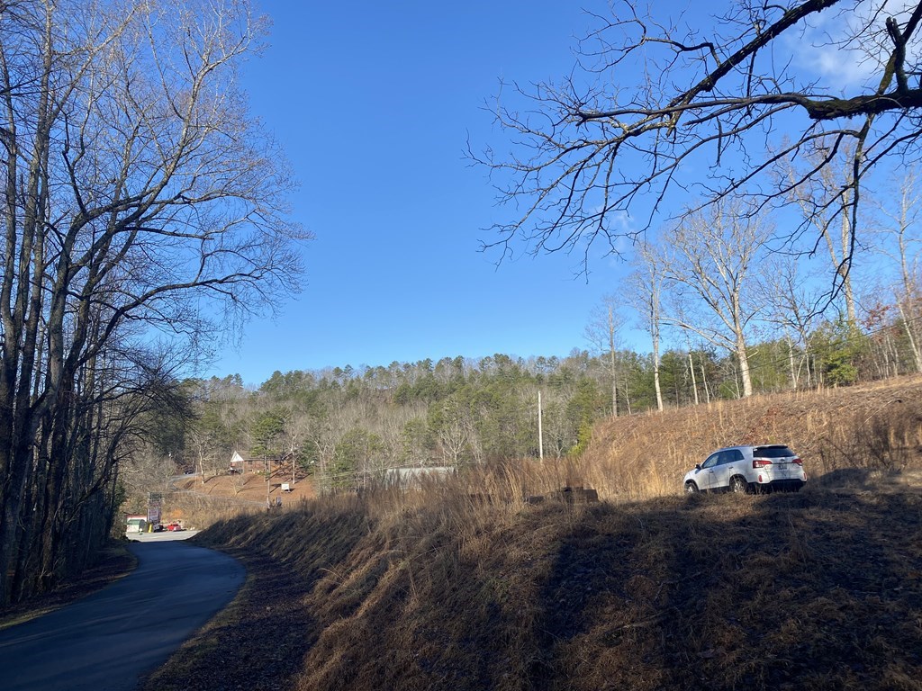 00 Lot 1 Us Hwy 64 W Property Photo 3