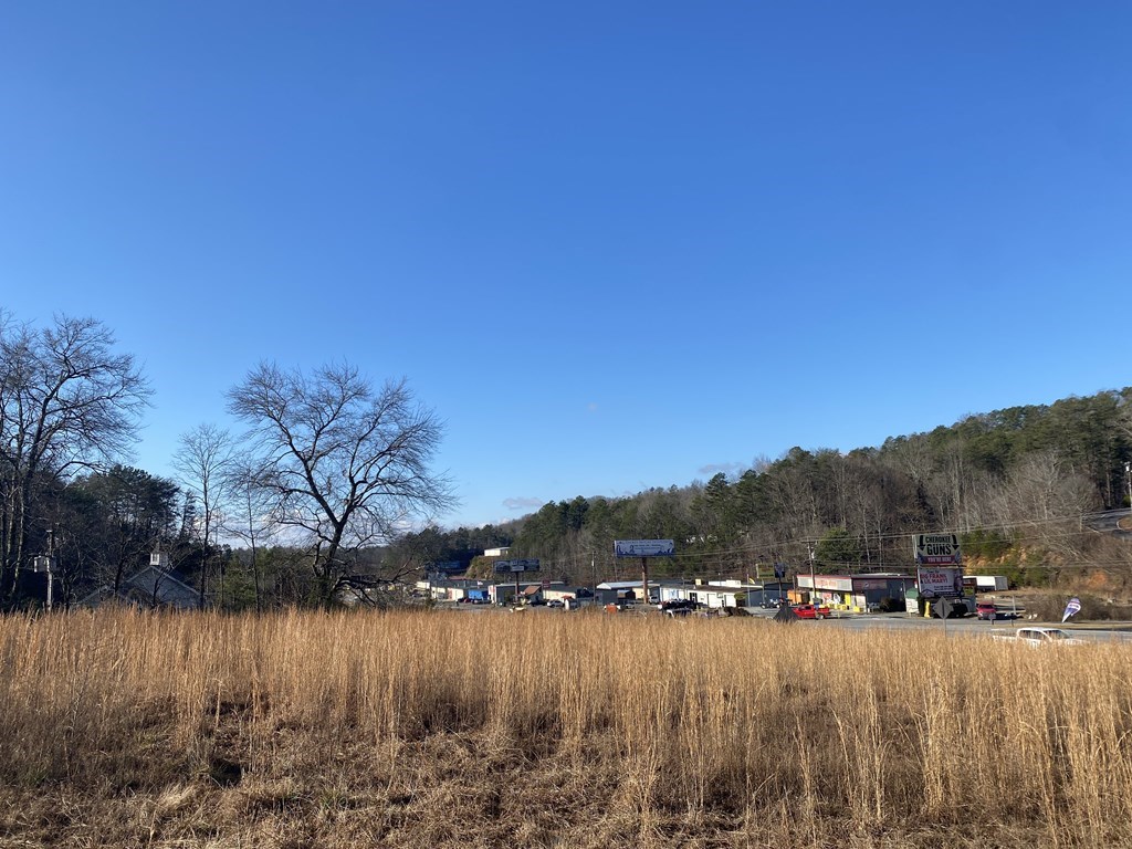00 Lot 1 Us Hwy 64 W Property Photo 8