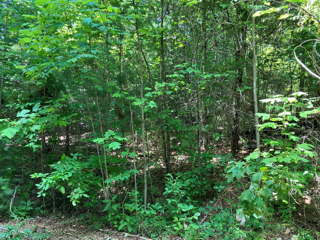 6&7 View Ridge Trail Property Photo 2