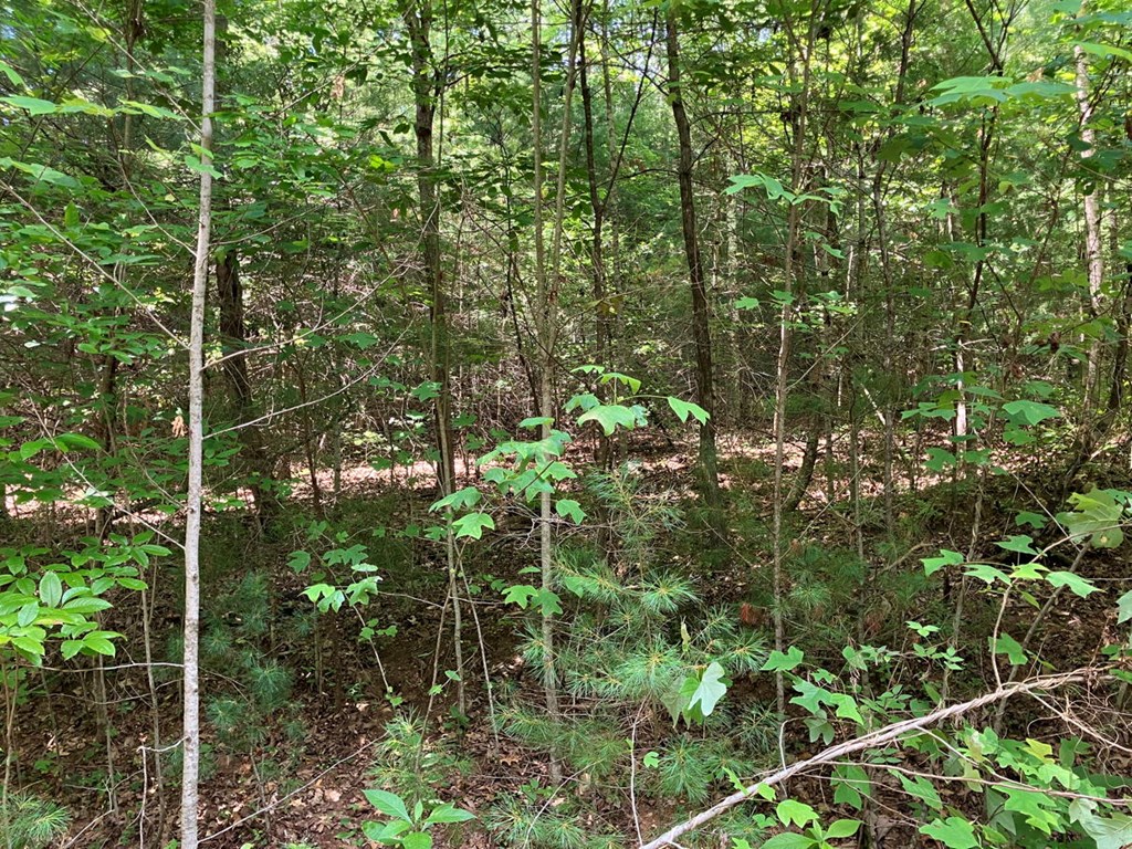 6&7 View Ridge Trail Property Photo 3