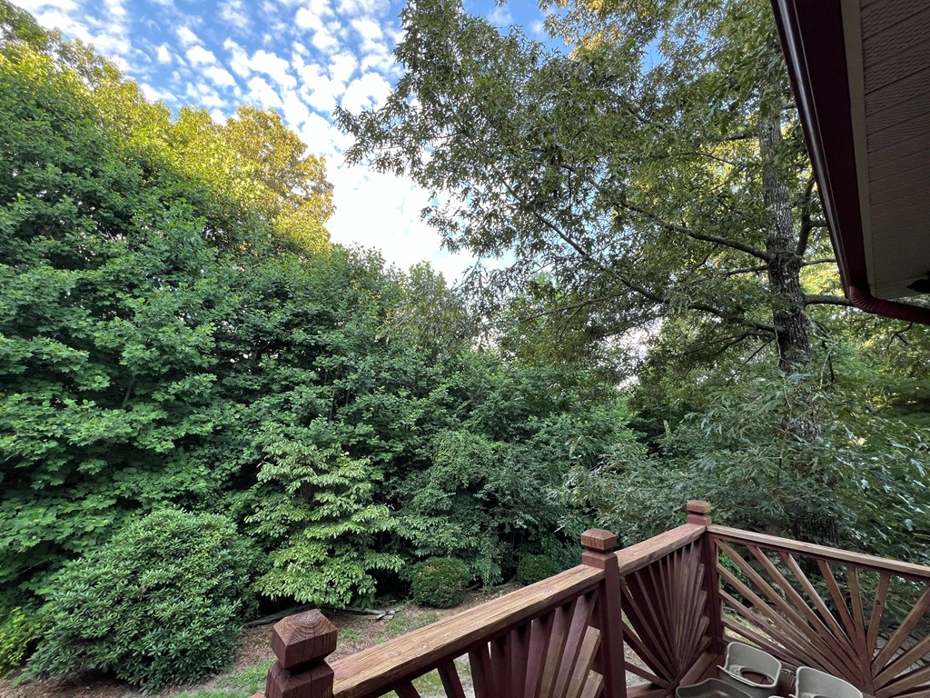 5412 Martins Creek Road Property Photo 14