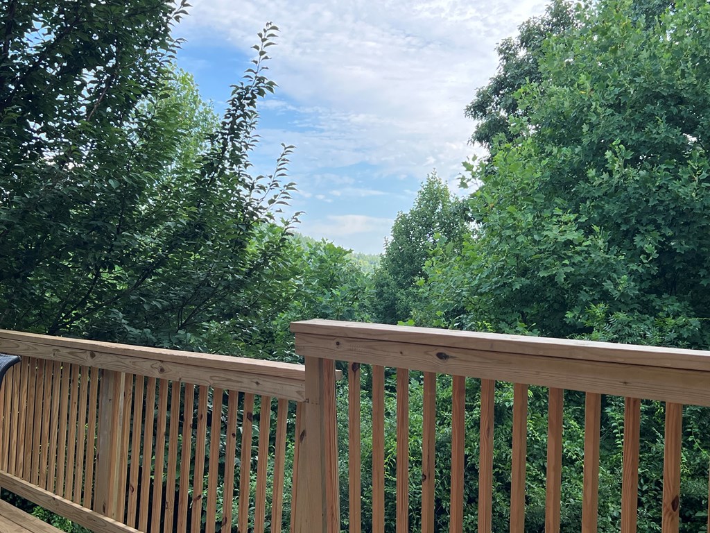 5412 Martins Creek Road Property Photo 15