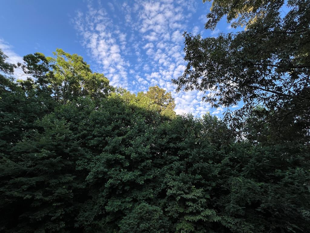 5412 Martins Creek Road Property Photo 21