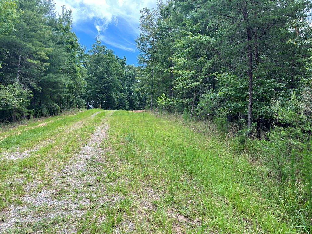 Lot 81 Short Oak Run Property Photo 1