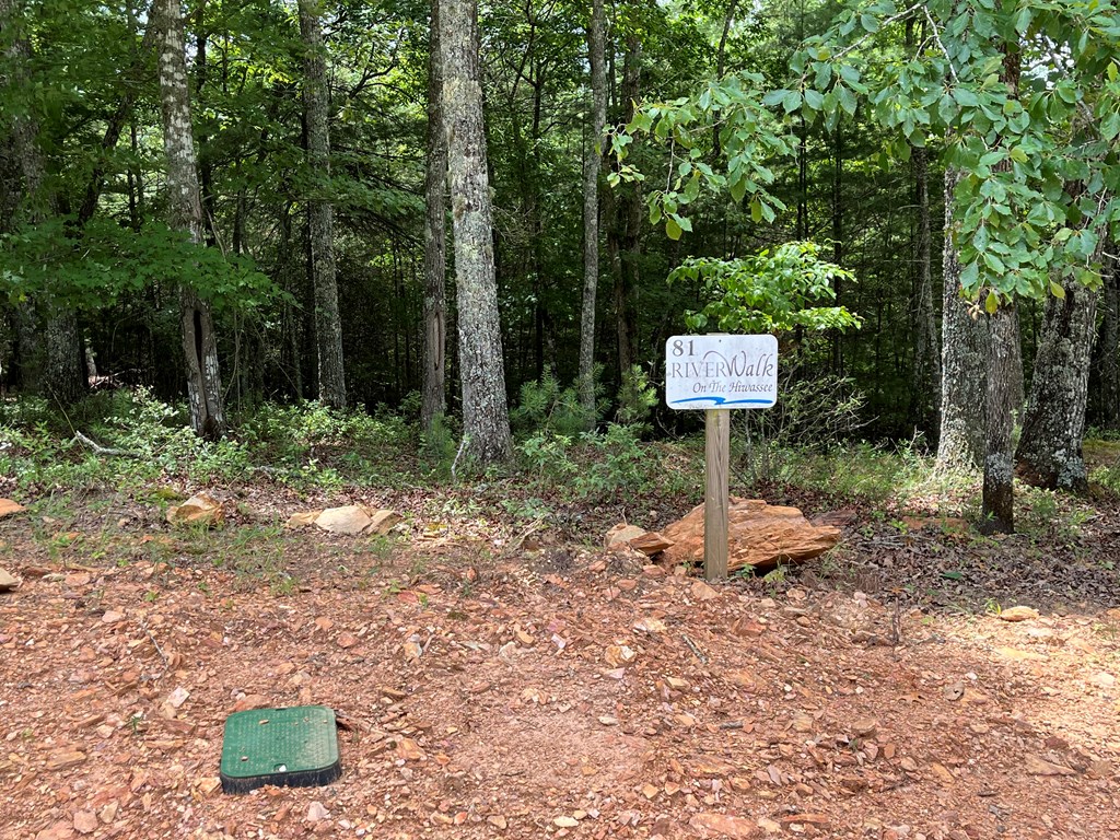 Lot 81 Short Oak Run Property Photo 2