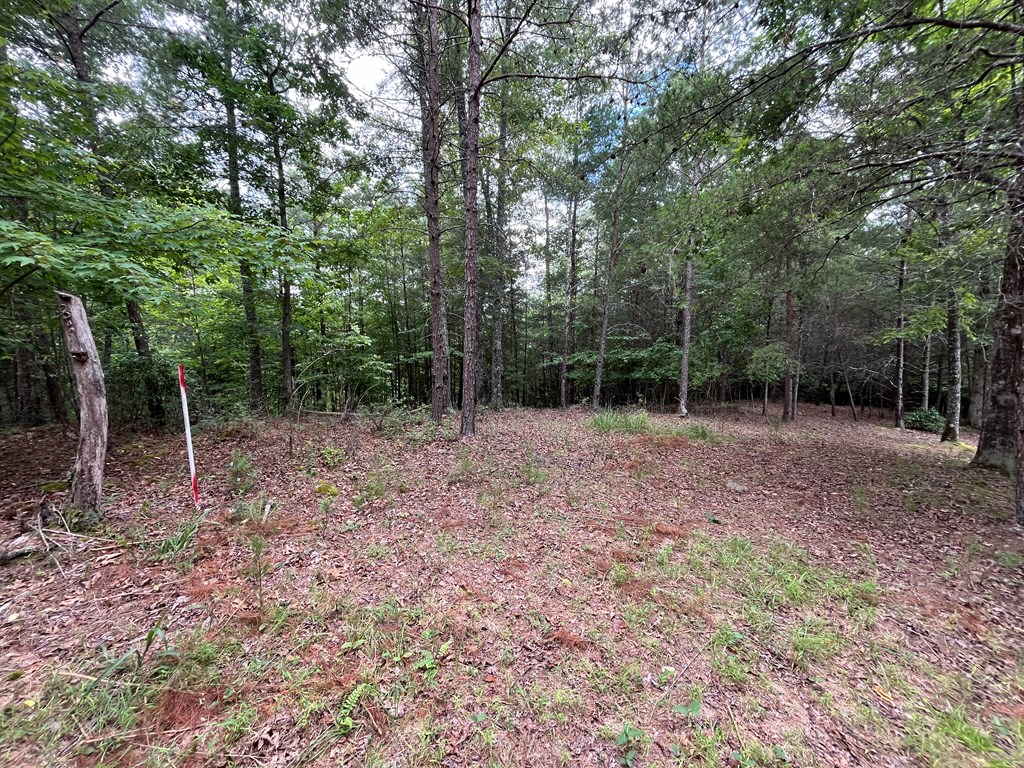 Lot 81 Short Oak Run Property Photo 3