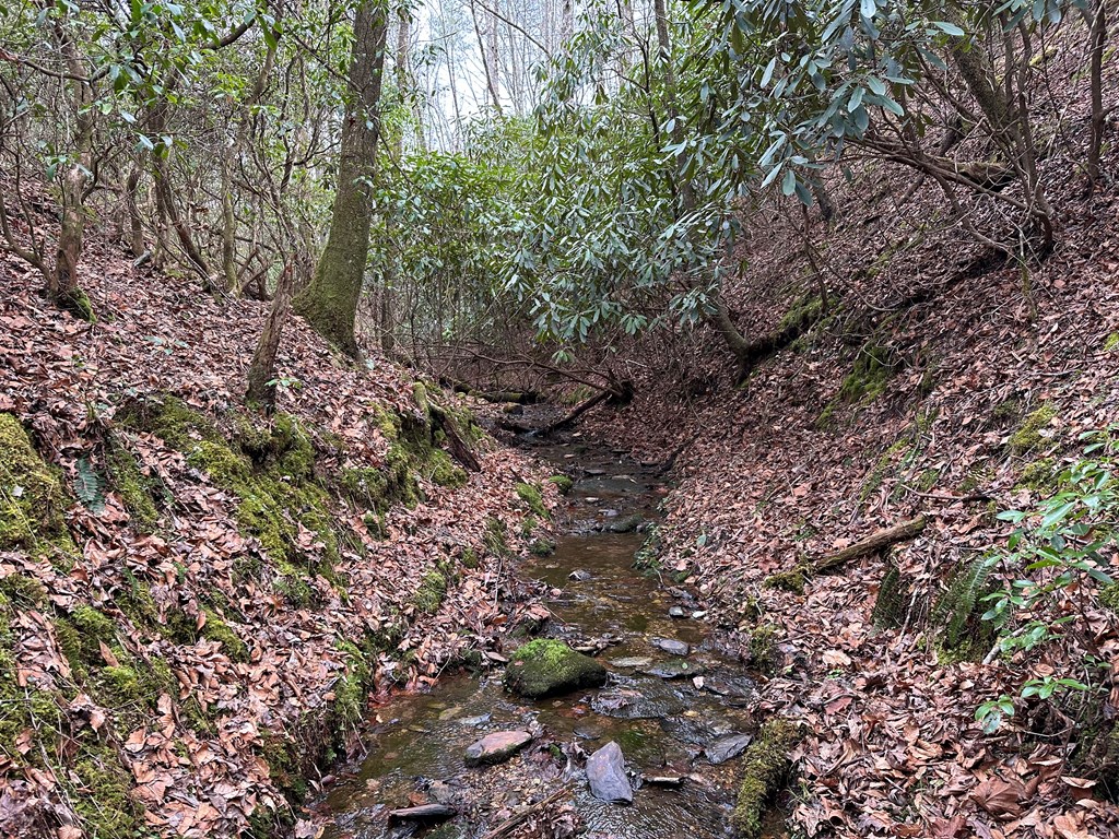 Lot 81 Short Oak Run Property Photo 4