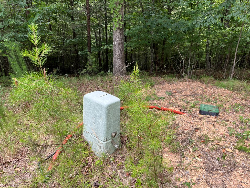 Lot 81 Short Oak Run Property Photo 7