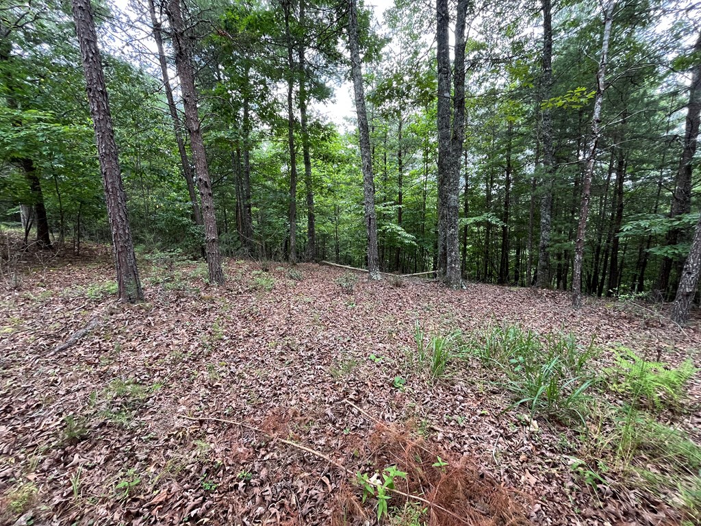 Lot 81 Short Oak Run Property Photo 9