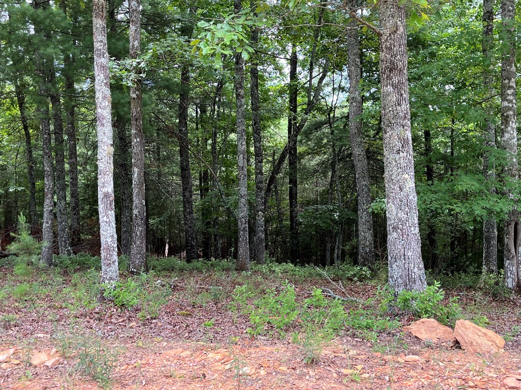Lot 81 Short Oak Run Property Photo 10