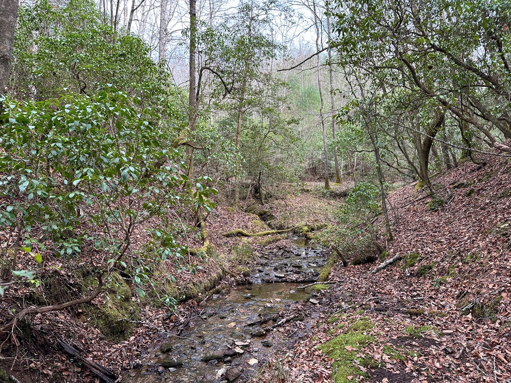 Lot 81 Short Oak Run Property Photo 12