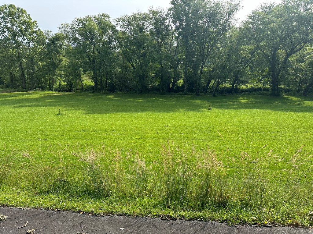 Lot 56 Prosperity Dr Property Photo 4