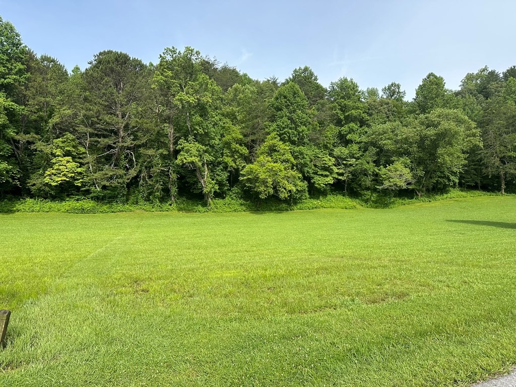 Lot 46 Prosperity Dr Property Photo 2