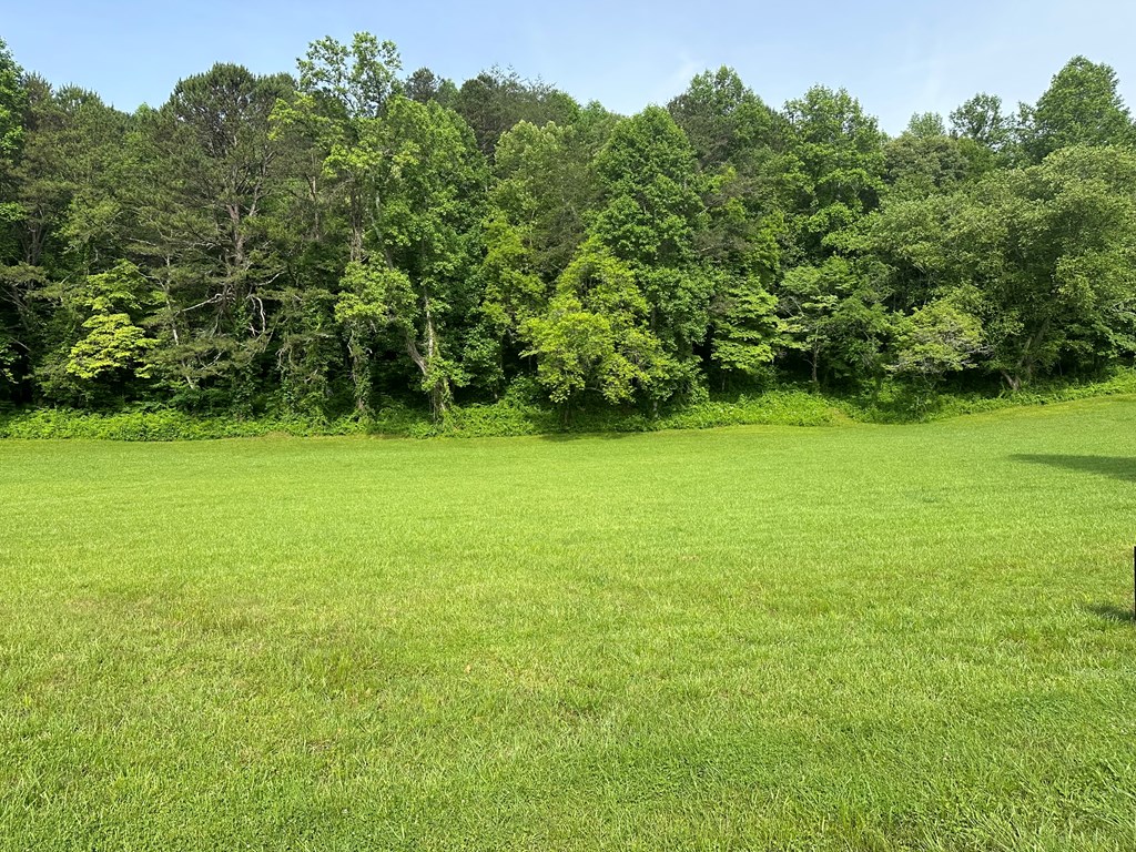 Lot 46 Prosperity Dr Property Photo 3