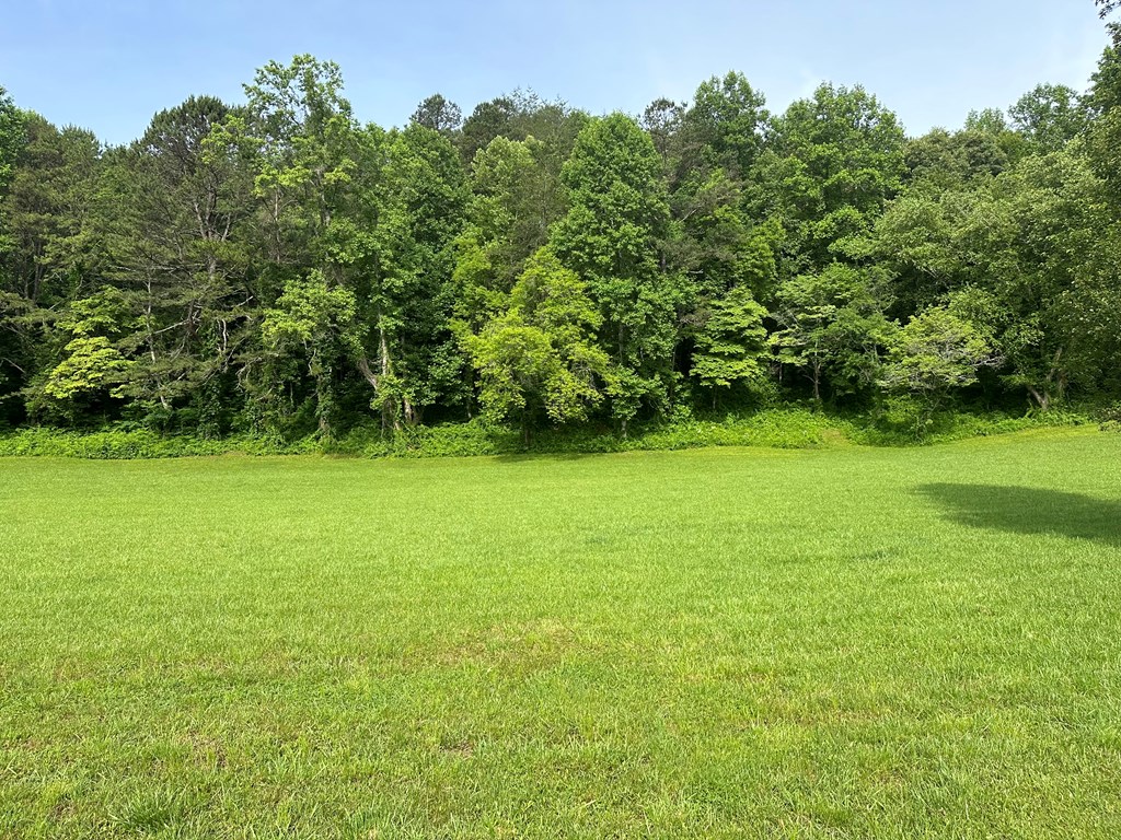 Lot 46 Prosperity Dr Property Photo 4