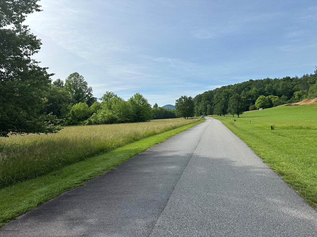 Lot 46 Prosperity Dr Property Photo 5