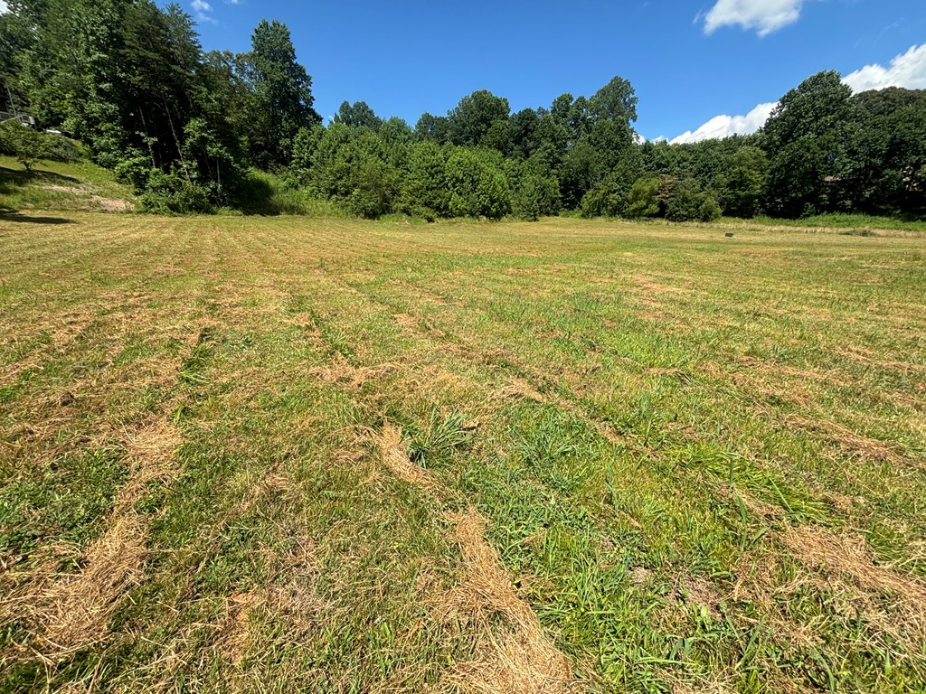 Lot 8 Property Photo 3