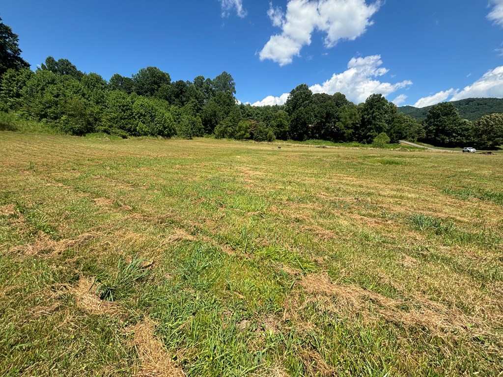 Lot 8 Property Photo 4