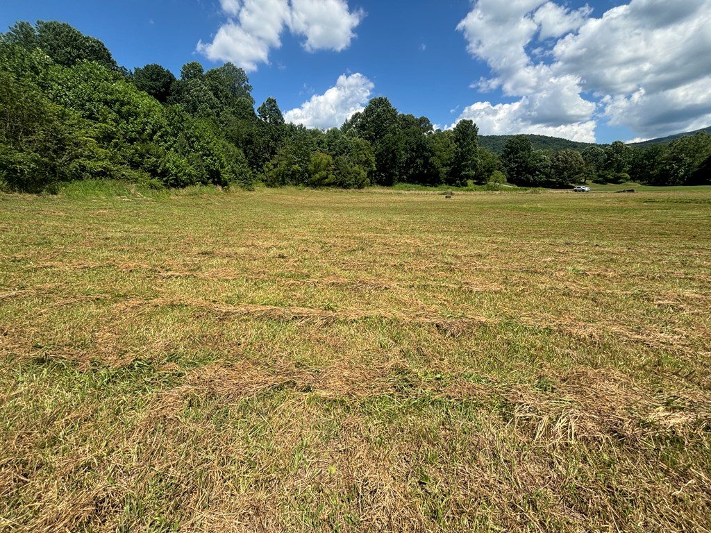 Lot 8 Property Photo 5