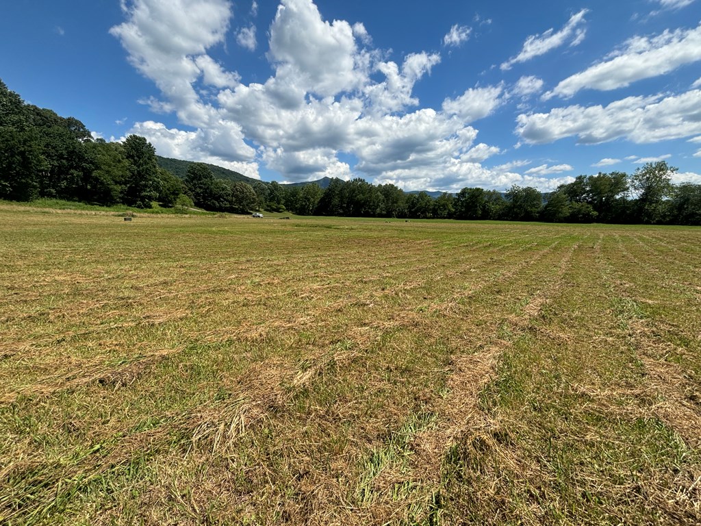 Lot 8 Property Photo 7