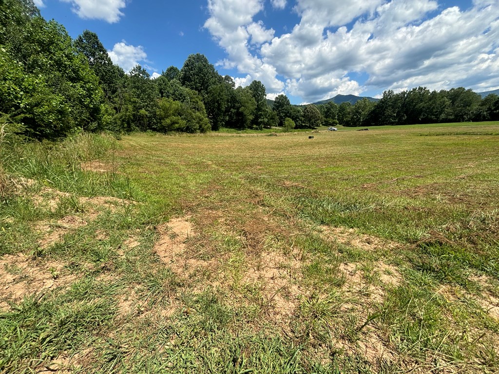 Lot 8 Property Photo 8