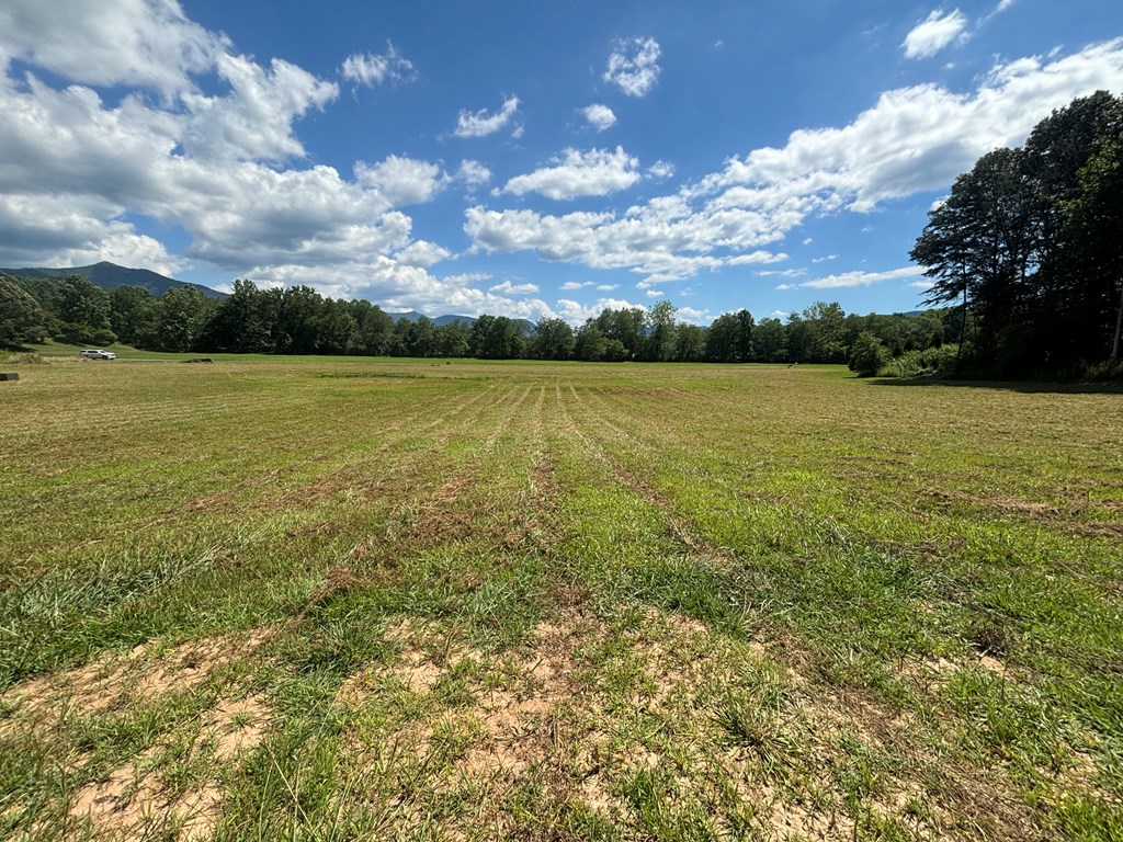 Lot 8 Property Photo 9