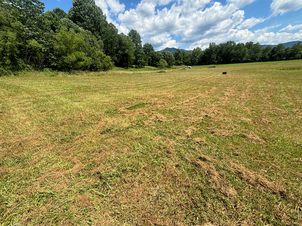Lot 8 Property Photo 10