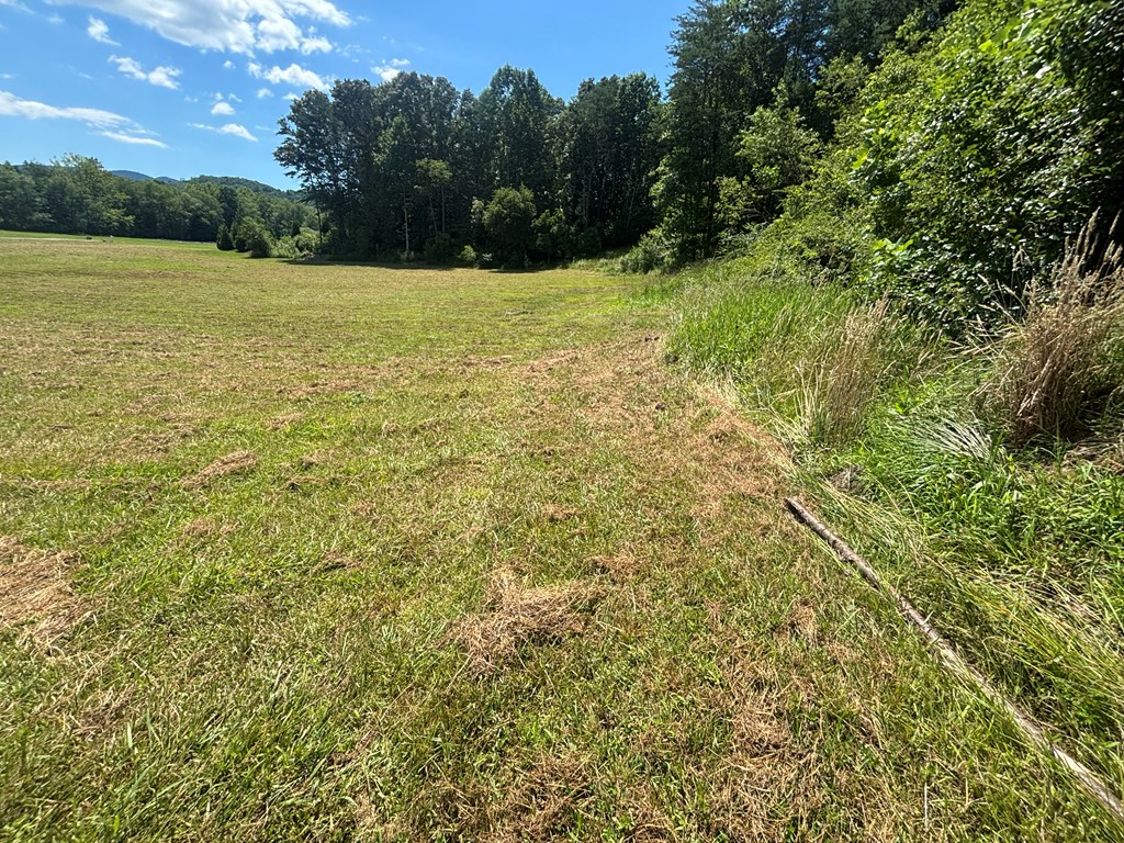 Lot 8 Property Photo 12