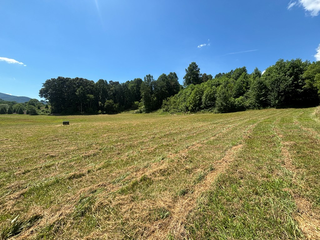 Lot 8 Property Photo 17