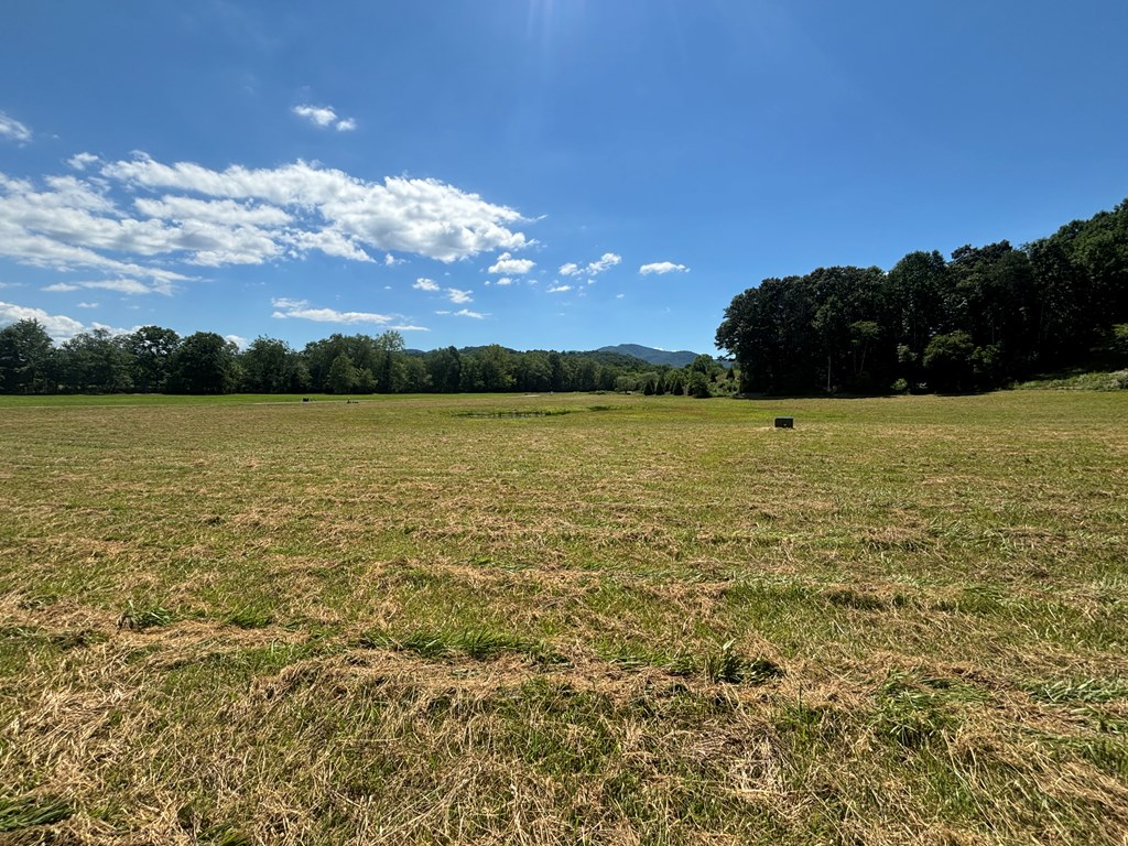 Lot 8 Property Photo 19