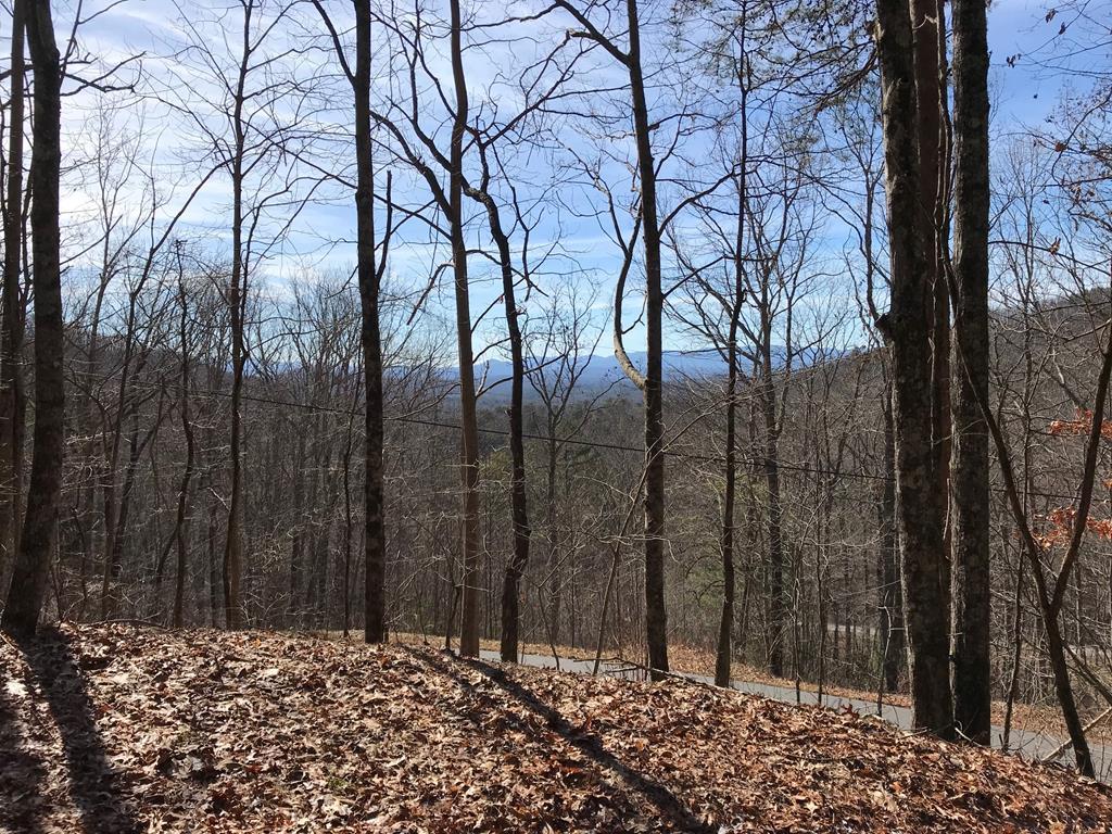 000 Alt Old Fain Rd Property Photo 1