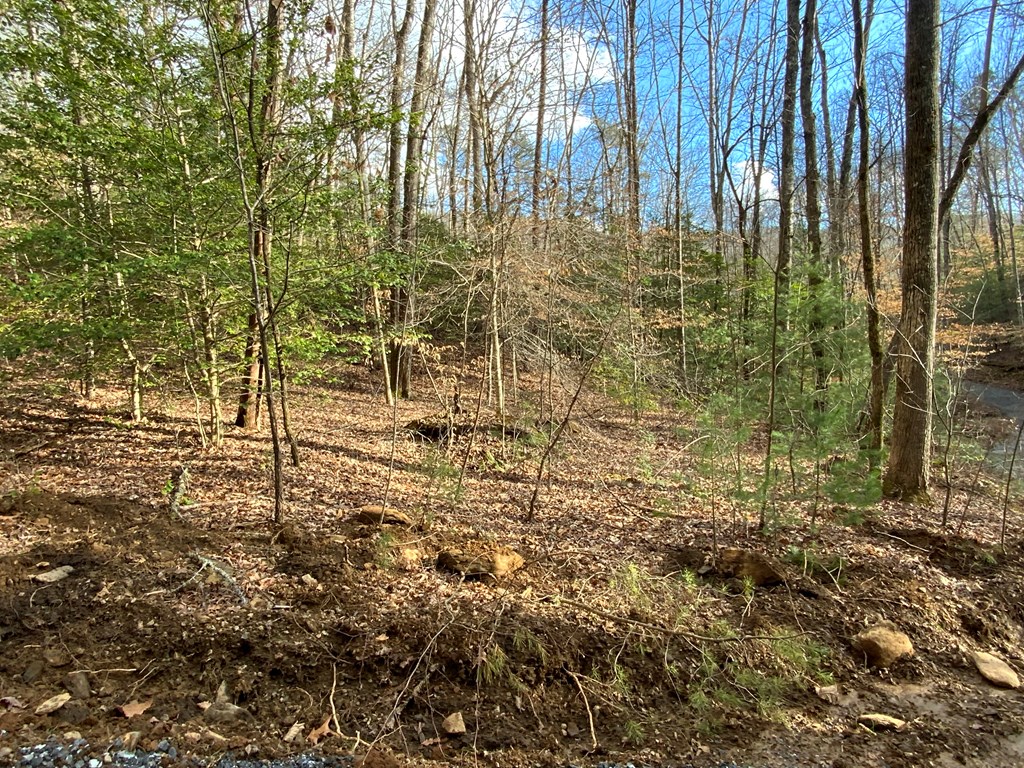 Lot 1 Ivy Log Rd Property Photo 4