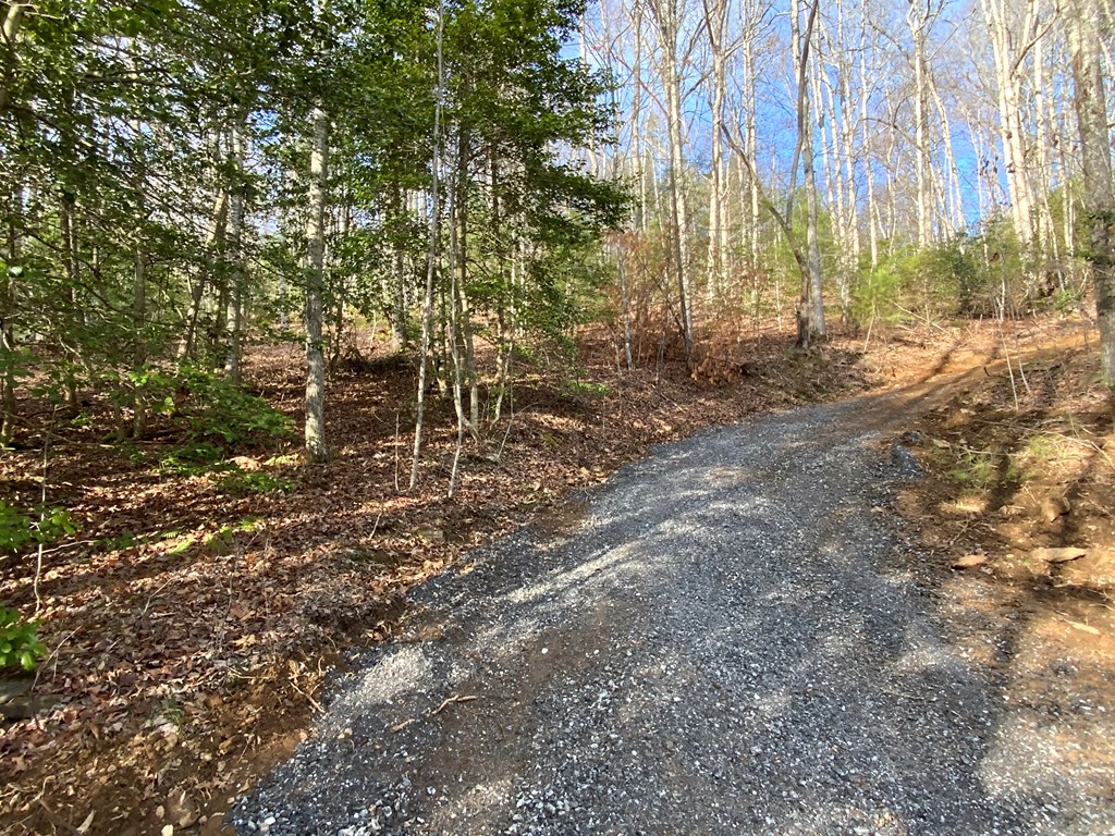 Lot 1 Ivy Log Rd Property Photo 7