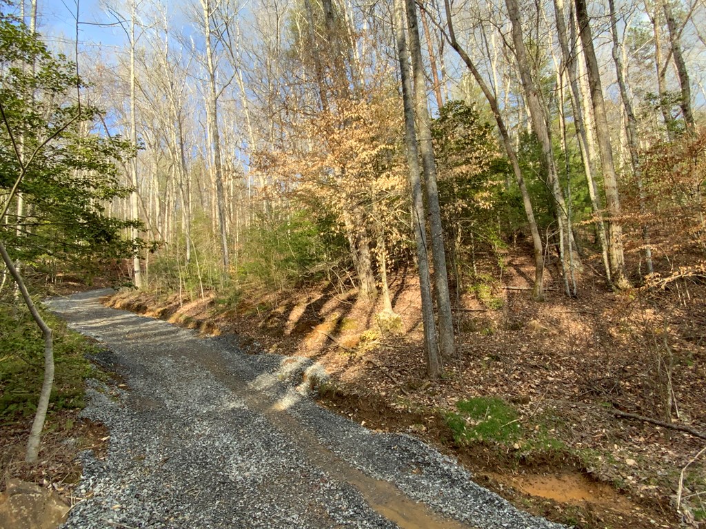 Lot 1 Ivy Log Rd Property Photo 10