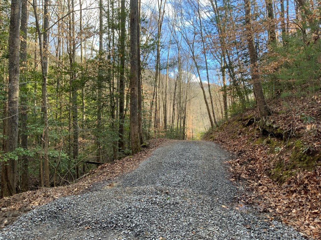 Lot 1 Ivy Log Rd Property Photo 13