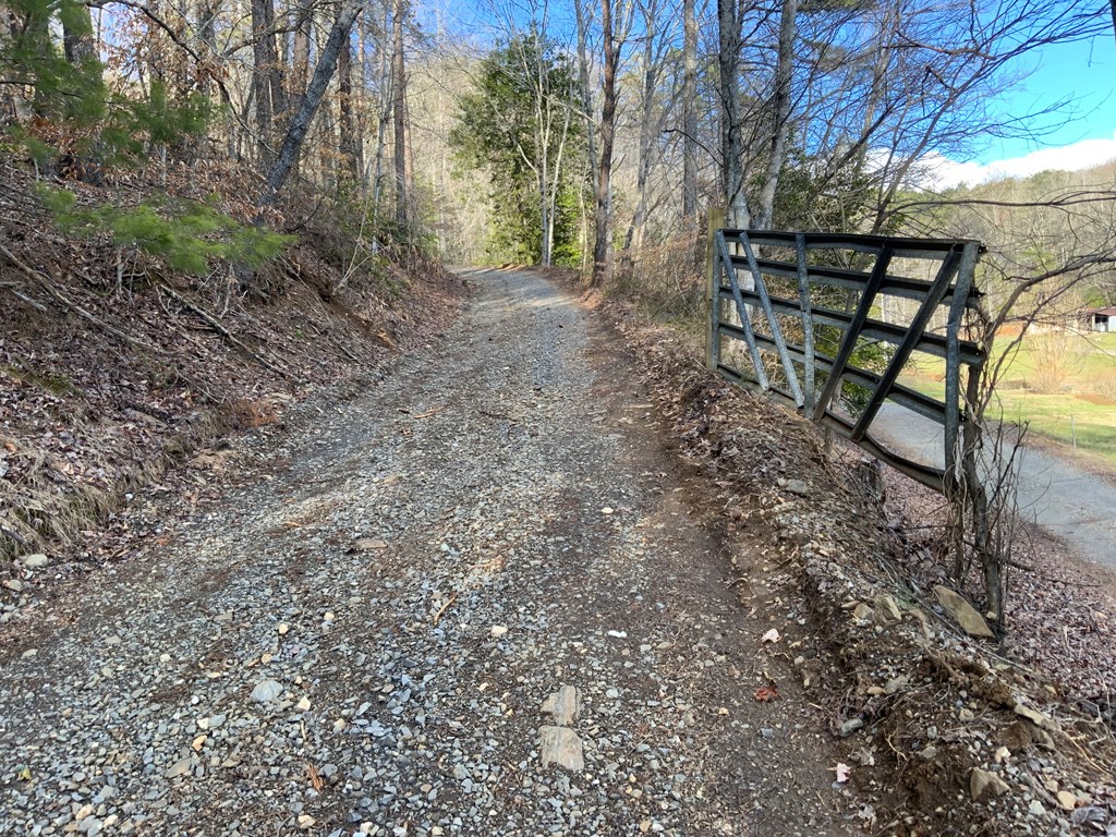 Lot 1 Ivy Log Rd Property Photo 15